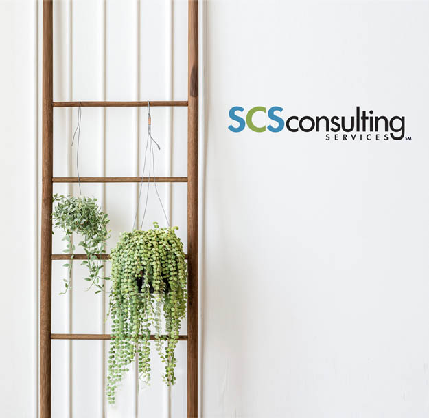 SCS Consulting Services